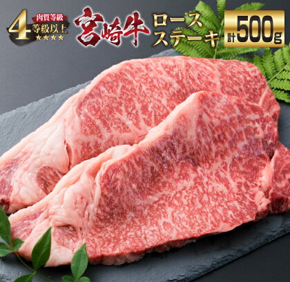 宮崎牛 ロース ステーキ 計500g 牛肉 ビーフ 黒毛和牛 国産 ブランド牛 食品 人気 おすすめ 真空パック 小分け 個包装 おかず 焼肉 BBQ 鉄板焼き 高級 贅沢 ご褒美 ディナー お祝い 記念日 おもてなし お取り寄せ グルメ おすそ分け 宮崎県 日南市 送料無料