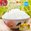 【ふるさと納税】2週間以内に発送 ≪内容量が選べる≫ 無洗米 令和7年産 新米 コシヒカリ 米 期間限定 宮崎県産 お米 ご飯 ライス 国産 人気 食品 精米 ...