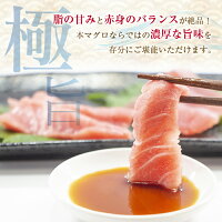 【ふるさと納税】本マグロ中トロ(計800g)