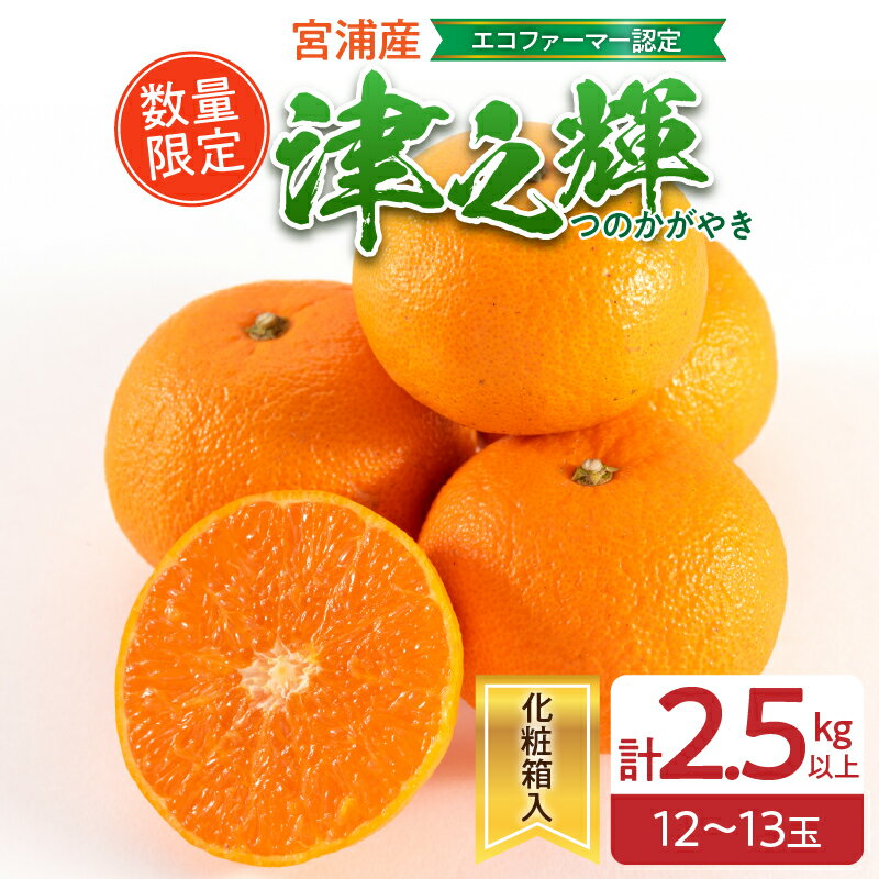 126位! 口コミ数「1件」評価「4」津之輝 計2.5kg以上 化粧箱入り 先行予約 令和8年発送 期間限定 数量限定 国産 食品 果物 くだもの フルーツ 柑橘 みかん 蜜柑 M L 混合 デザート おやつ ジュース おすすめ プレゼン･･･ 