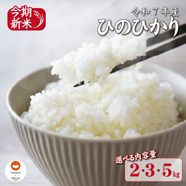 [選べる内容量][〜永久の米〜宮崎県住みます芸人チキンナンゴーお世話米]令和7年産 新米 ひのひかり 2kg~5kg(国産 米 新米 令和7年新米 ヒノヒカリ 精米 限定 ギフト 人気)