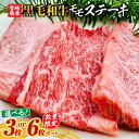 【ふるさと納税】【お試し限定品】黒毛和牛 牛肉 赤身 モモ ステーキ 3枚~6枚 セット 宮崎牛 《レビューキャンペーン実施中》
