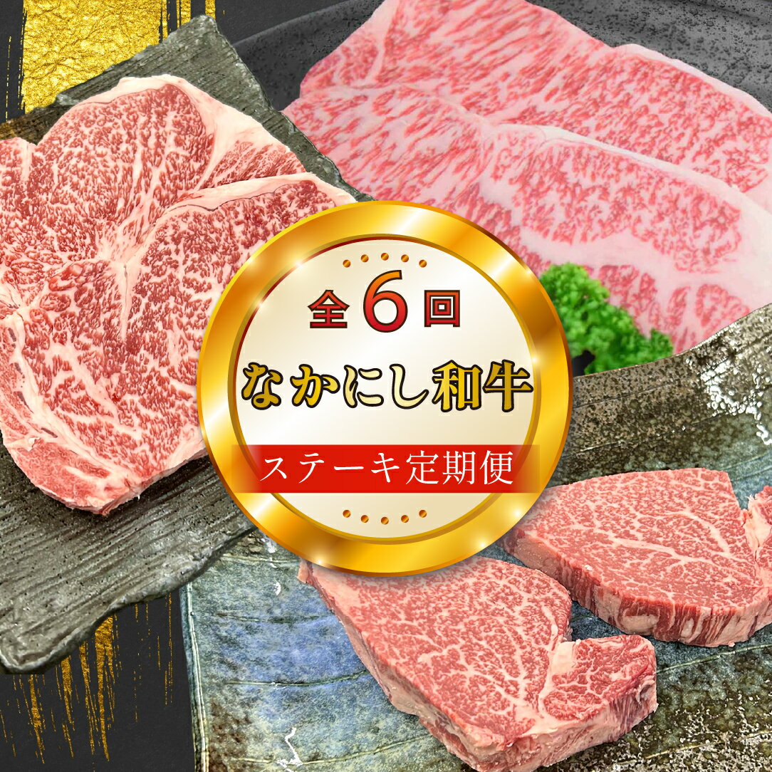 [定期便 全6回]宮崎県西ノ原牧場・なかにし和牛ステーキ定期(牛肉 黒毛和牛 お肉 ステーキ 赤身 モモ サーロイン ヒレ 定期便)