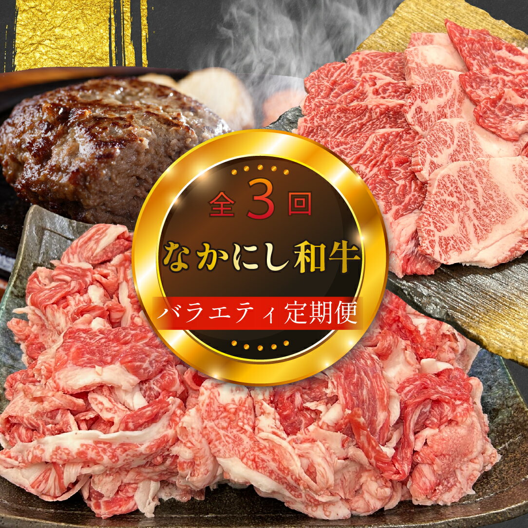 [定期便 全3回]宮崎県西ノ原牧場・なかにし和牛バラエティ定期便(牛肉 黒毛和牛 焼肉 小間切れ ハンバーグ 定期便)