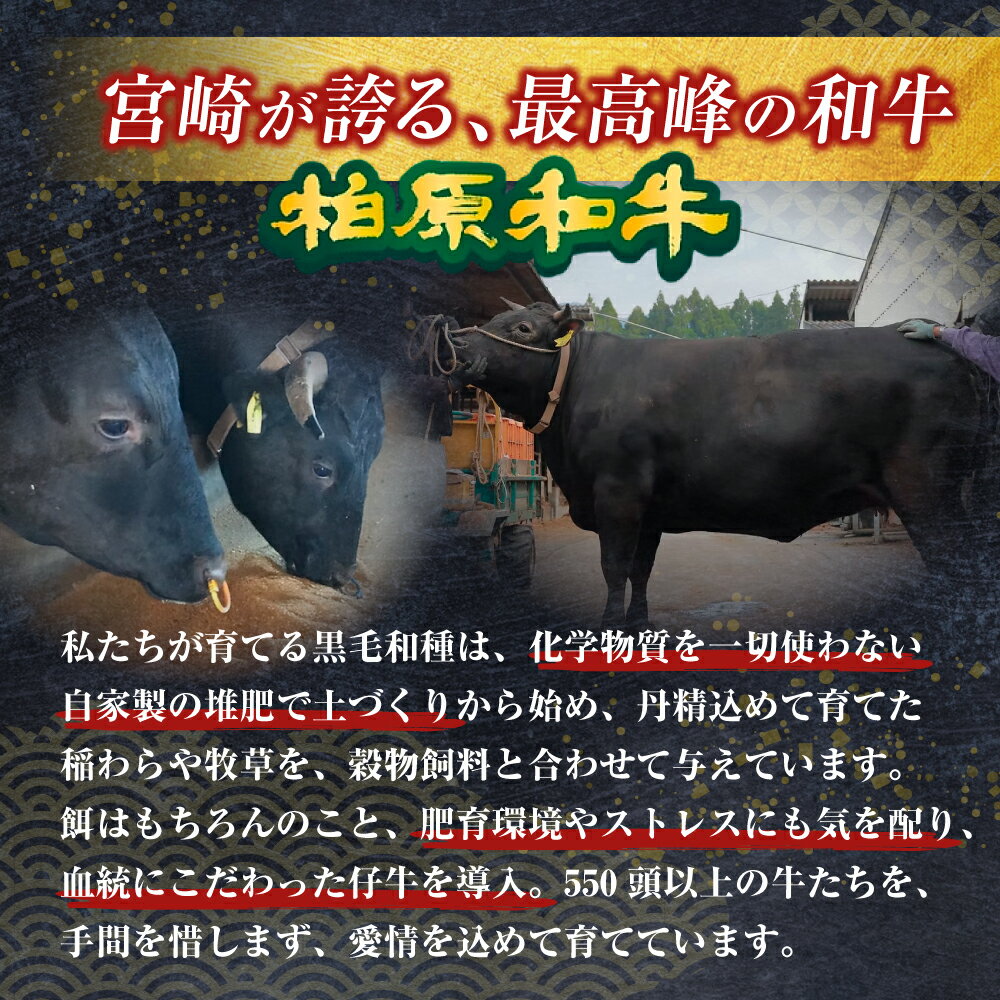 【ふるさと納税】【自社農場和牛】黒毛和牛 特製塩だれミックスホルモン 720g（国産 黒毛和牛 宮崎牛 牛肉 塩だれ ホルモン ミックスホルモン 冷凍 宮崎県 小林市）