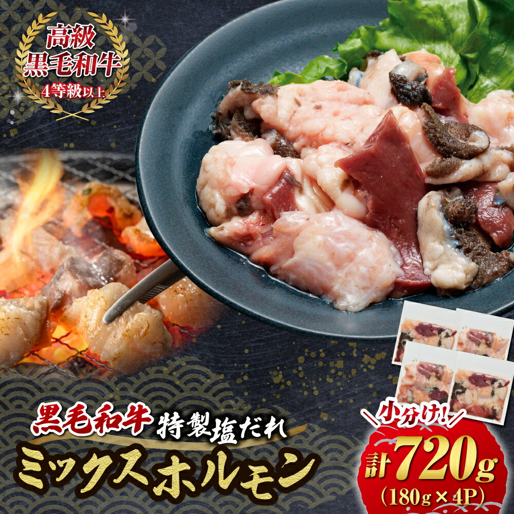 【ふるさと納税】【自社農場和牛】黒毛和牛 特製塩だれミックスホルモン 720g（国産 黒毛和牛 宮崎牛 牛肉 塩だれ ホルモン ミックスホルモン 冷凍 宮崎県 小林市）