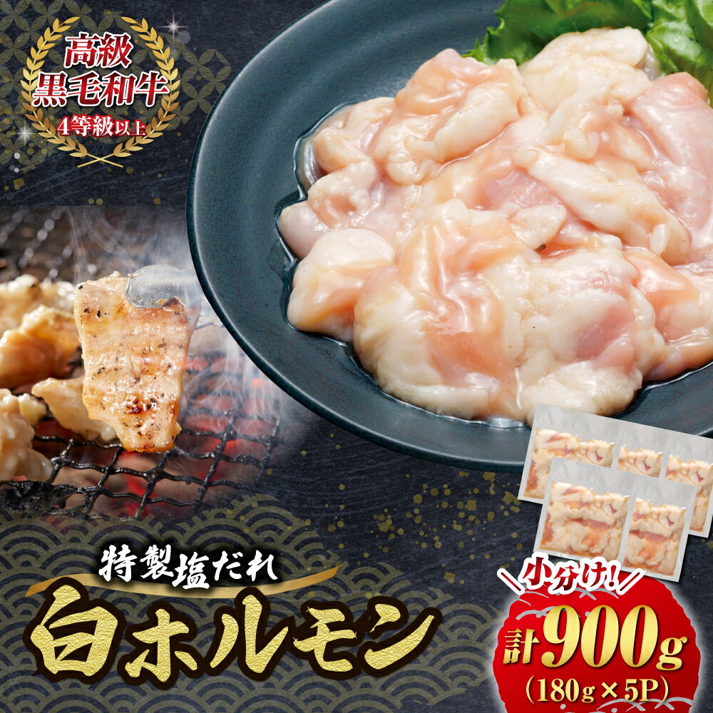 [自社農場和牛]黒毛和牛 特製塩だれ白ホルモン 900g(国産 黒毛和牛 宮崎牛 牛肉 塩だれ ホルモン 白ホルモン 冷凍 宮崎県 小林市)