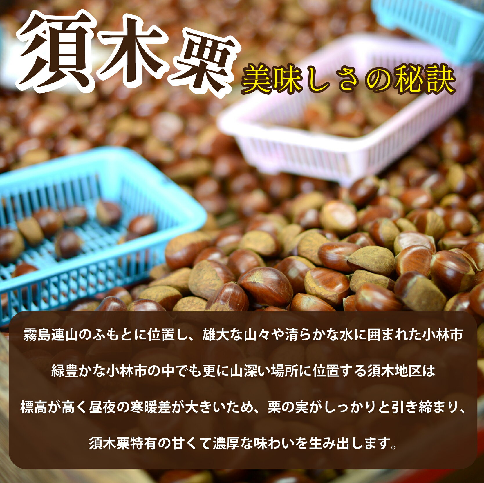 【ふるさと納税】【低温熟成】ブランド栗「須木栗」3Lサイズ 2kg程度（生栗 マロン 栗 果物 フルーツ 限定 秋 旬）