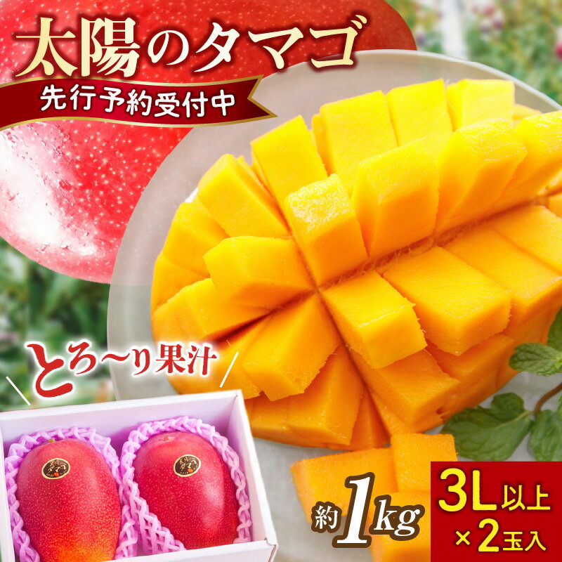 【ふるさと納税】【先行予約】マンゴー 太陽のタマゴ 3L×2玉 1kg 糖度15度以上 完熟 数量限定 先行受付 厳選 大玉 フルーツ 2025年発送 宮崎のサムネイル