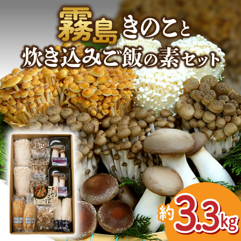 きのこ 炊き込みご飯の素 詰め合わせ 約3.3kg セット えのき茸 エリンギ ブナしめじ しめじ やしゃ茸 農場直送 霧島きのこ