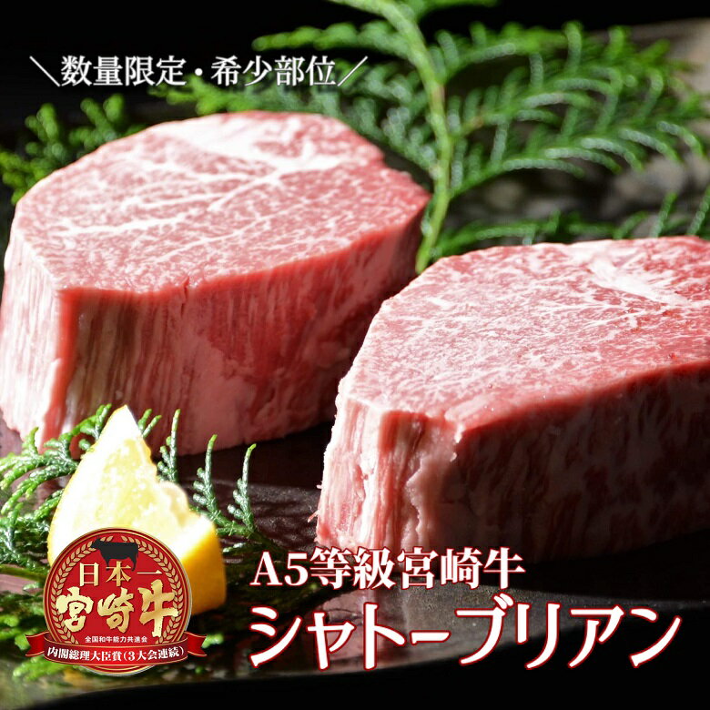 【ふるさと納税】【予約受付品・プレミアムシリーズ】厳選宮崎牛メス指定 A5等級シャトーブリアン 400g(国産 牛肉 国産牛 和牛 黒毛和牛宮崎牛 赤身 ヒレ シャトーブリアン ステーキ 焼肉)