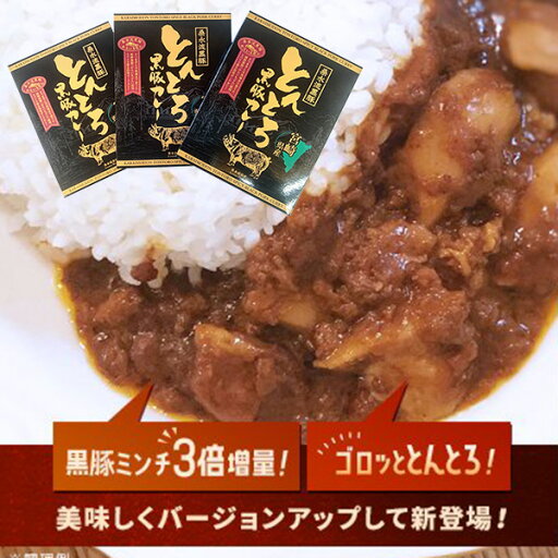 【ふるさと納税】【ご当地カレー】黒豚トントロ肉とあらびきミンチの濃厚“とんとろカレー” 【ふるさと納税】【ご当地カレー】黒豚トントロ肉とあらびきミンチの濃厚“とんとろカレー”