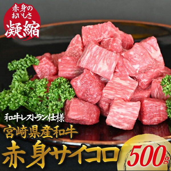 [和牛レストラン仕様]宮崎県産和牛赤身サイコロ 500g