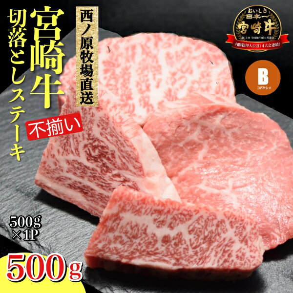 【生産者まかない用特別提供品】特別提供・宮崎和牛不揃いカットステーキ 500g（国産 牛肉 国産牛 和牛 黒毛和牛 赤身 不揃い ステーキ 焼肉）