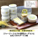 【ふるさと納税】【霧島連山の麓・加藤牧場直送】ジャージーミルクの濃厚ヨーグルトと生乳100%チーズ3種(国産 ナチュラルチーズ ヨーグルト 乳製品 牛乳 チーズ コンテスト受賞 人気 霧島 宮崎 小林市 地域限定)
