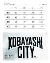 宮崎県小林市の画像2