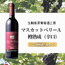 9位! 口コミ数「0件」評価「0」【高原の熟成ワイン】マスカットベリーA（樽熟成・辛口）