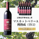 【ふるさと納税】【高原の熟成ワイン】マスカットベリーA(樽熟成) 1ダース