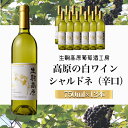 【ふるさと納税】【高原の白ワイン】シャルドネ(辛口) 1ダース