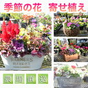 2位! 口コミ数「1件」評価「5」【農場直送！】季節の花　寄せ植え