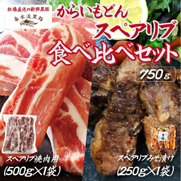【ふるさと納税】【牧場直送の新鮮黒豚】桑水流黒豚からいもどんスペアリブ食べ比べセット