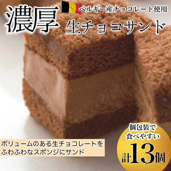 9位! 口コミ数「0件」評価「0」【チョコまみれ】濃厚生チョコサンド　個包装13個入り