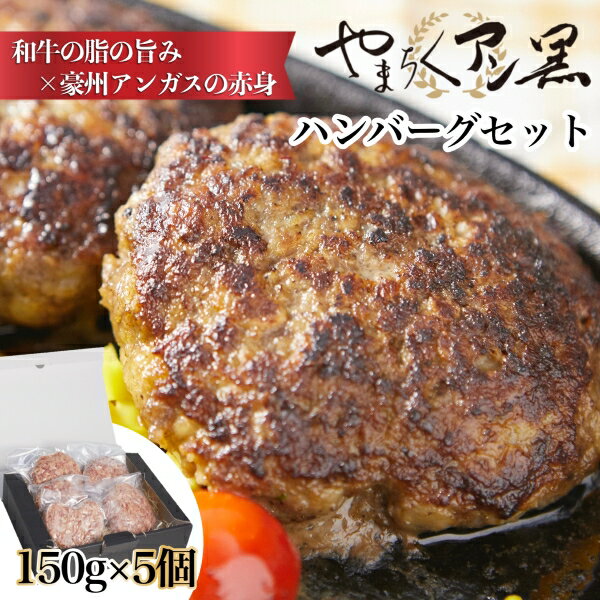 3位! 口コミ数「0件」評価「0」やまちくアン黒ハンバーグ5個セット（ハンバーグ 牛肉 牛肉100% 国産 冷凍 調理済 宮崎 惣菜 小林市）