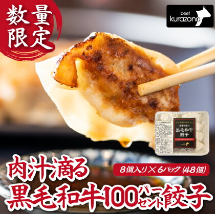 【数量限定】倉薗牧場肉汁滴る黒毛和牛100％餃子　6P（48個）