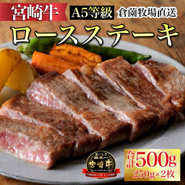 [百名店の味をご自宅で!]A5等級 宮崎牛ロースステーキ 250g×2枚(黒毛和牛 ブランド牛 A5 ステーキ 内閣総理大臣賞)
