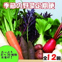【ふるさと納税】【野菜の定期便】こばやし季節の野菜詰め合わせセット 全12回