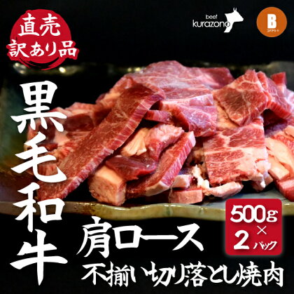 【DAS003・訳あり】小林市産黒毛和牛肩ロース不揃い切り落とし焼肉500g×2P（国産 国産牛 牛肉 和牛 黒毛和牛 宮崎県産 不揃い 訳あり 焼肉 ロース 送料無料）