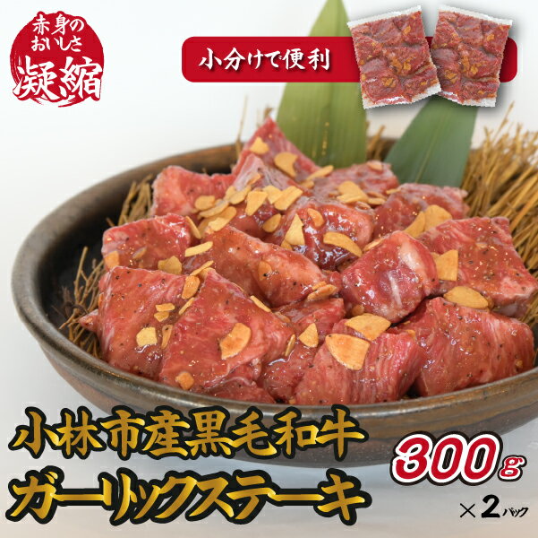 [旨味凝縮!]小林市産黒毛和牛ガーリックステーキ600g(国産 肉 牛肉 訳あり不揃い 赤身 ステーキ 小分け 冷凍)