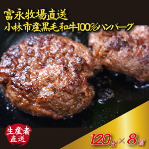 【ふるさと納税】【自社農場和牛】富永和牛手作りハンバーグ(ハンバーグ 牛肉 牛肉100% 国産 冷凍 調理済 宮崎 惣菜 小林市)