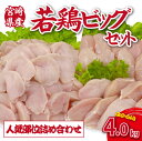 【ふるさと納税】【人気部位詰め合わせ】宮崎県産若鶏4kgビッグセット(若鶏 国産 モモ ムネ ササミ 小分け 大容量 冷凍)