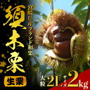 【ふるさと納税】【期間・数量限定】ブランド栗「須木栗」2Lサイズ 2kg程度(生栗 マロン 栗 果物 フルーツ 限定 秋 旬)