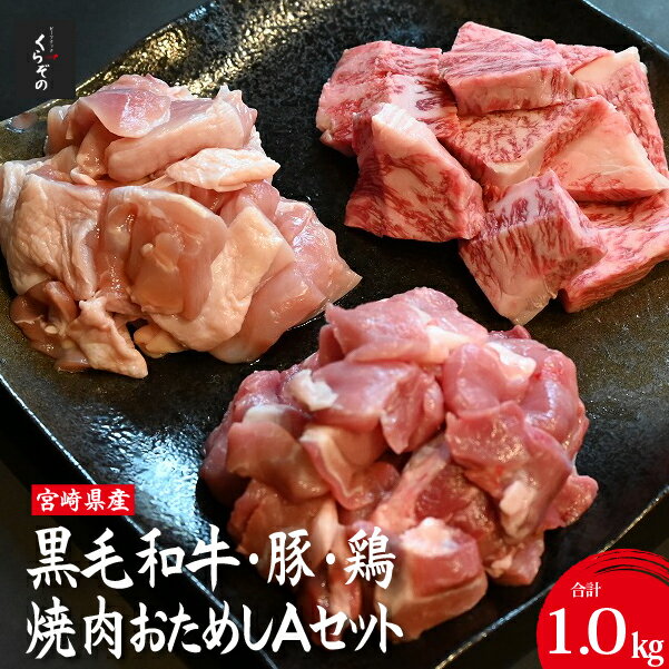 【ふるさと納税】宮崎県産 牛・豚・鶏 焼肉おためしAセット 計1kg（牛肉 豚肉 鶏肉 和牛 焼肉 