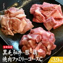 【ふるさと納税】宮崎県産 牛・豚・鶏 焼肉ファミリーコースC 計3.9kg(牛肉 豚肉 鶏肉 和牛 ロース モモ ウデ 焼肉 小分け 人気)