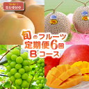 【ふるさと納税】【先行予約】定期便 全6回 こばやし季節のフルーツ Bコース 数量限定 シャインマスカット ぶどう マンゴー メロン 梨 果物 2026年発送