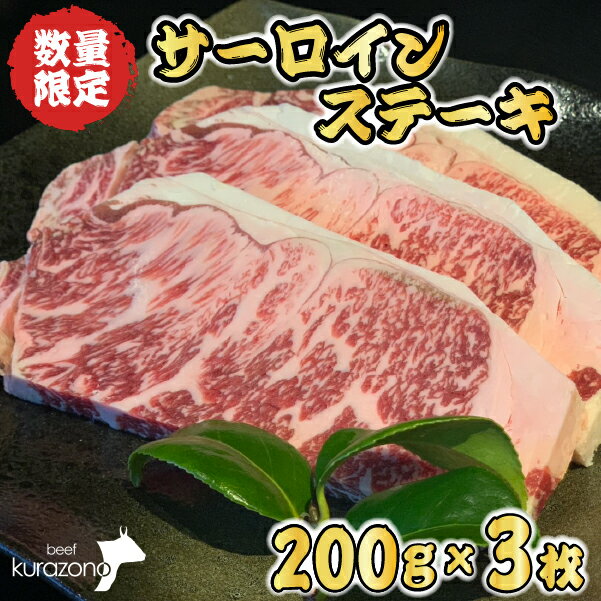 【ふるさと納税】黒毛和牛サーロインステーキ 200g×3枚（牛肉 国産牛 黒毛和牛 宮崎和牛 サーロイン ステーキ 赤身 霜降り）