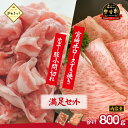 【ふるさと納税】宮崎牛霜降りロースすき焼きとホエー豚小間切れセット 計800g(牛肉 和牛 豚肉 ロース 小間切れ こま切れ 豚小間 すき焼き すき焼き用)