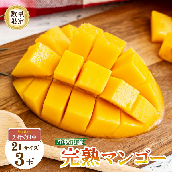 【ふるさと納税】【先行予約】完熟 マンゴー 2L×3玉 約1kg 数量限定 先行受付 厳選 大玉 フルーツ 果物 2025年発送 化粧箱入り 宮崎のサムネイル