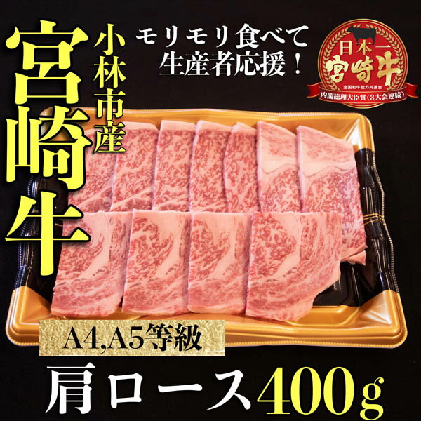 [モリモリ応援]A4等級以上宮崎牛おためしモリモリ肩ロース(焼肉用)