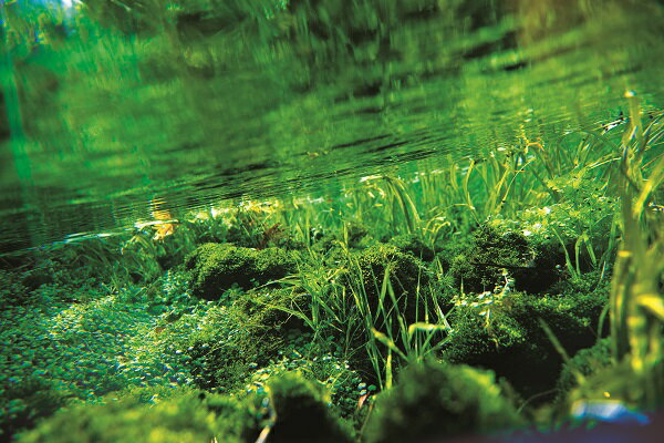 【ふるさと納税】【定期便・霧島連山天然水12か月コース】シリカたっぷり霧島のおいしい水2L×6本×12か月（国産 ナチュラルウォーター ミネラルウォーター 天然水 水 中硬水 シリカ 美容 人気 霧島 宮崎 小林市 送料無料）