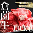 厳選黒毛和牛赤身すき焼き用切り落とし　1.0kg（500g×2P 国産 牛肉 和牛 薄切り スライス 切り落とし 赤身 すき焼き 焼肉 特別提供）