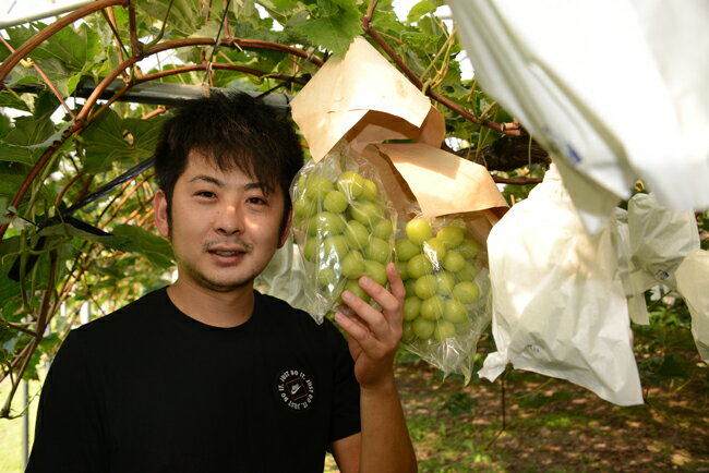 【ふるさと納税】【先行受付！産直もぎたて】シャインマスカット等と旬の梨セット計2kg