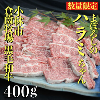 【黒毛和牛専門店直送】小林市産黒毛和牛まぼろしのハラミちゃん