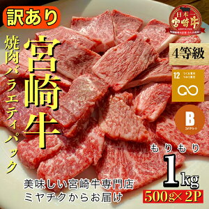 【ふるさと納税】【訳あり】牛肉 1kg 500g×2P 焼肉 宮崎牛 部位ミックス バラエティ パック 冷凍