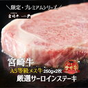 厳選宮崎牛メス指定　A5等級サーロインステーキ　500g（国産 牛肉 国産牛 和牛 黒毛和牛 宮崎牛 霜降り サーロイン ステーキ 焼肉）