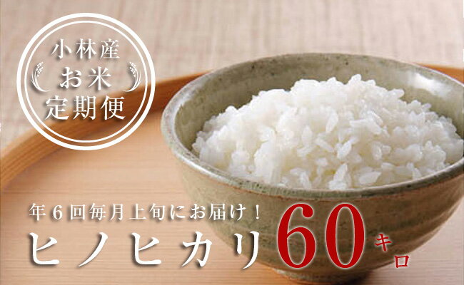 楽天カード分割 ふるさと納税 定期便 全6回 小林産ヒノヒカリ 10kg 6回 最安値に挑戦 Www Lgbthistorymonth Com 楽天カード分割 ふるさと納税 定期便 全6回 小林産ヒノヒカリ 10kg 6回 最安値に挑戦 Www Lgbthistorymonth Com