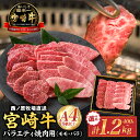 【ふるさと納税】【A4等級以上】宮崎牛バラエティ焼肉用 400g~1.2kg 宮崎牛 牛肉 肉 モモ バラ 焼肉 セット BBQ 鉄板焼き 西ノ原牧場 《レビューキャンペーン実施中》